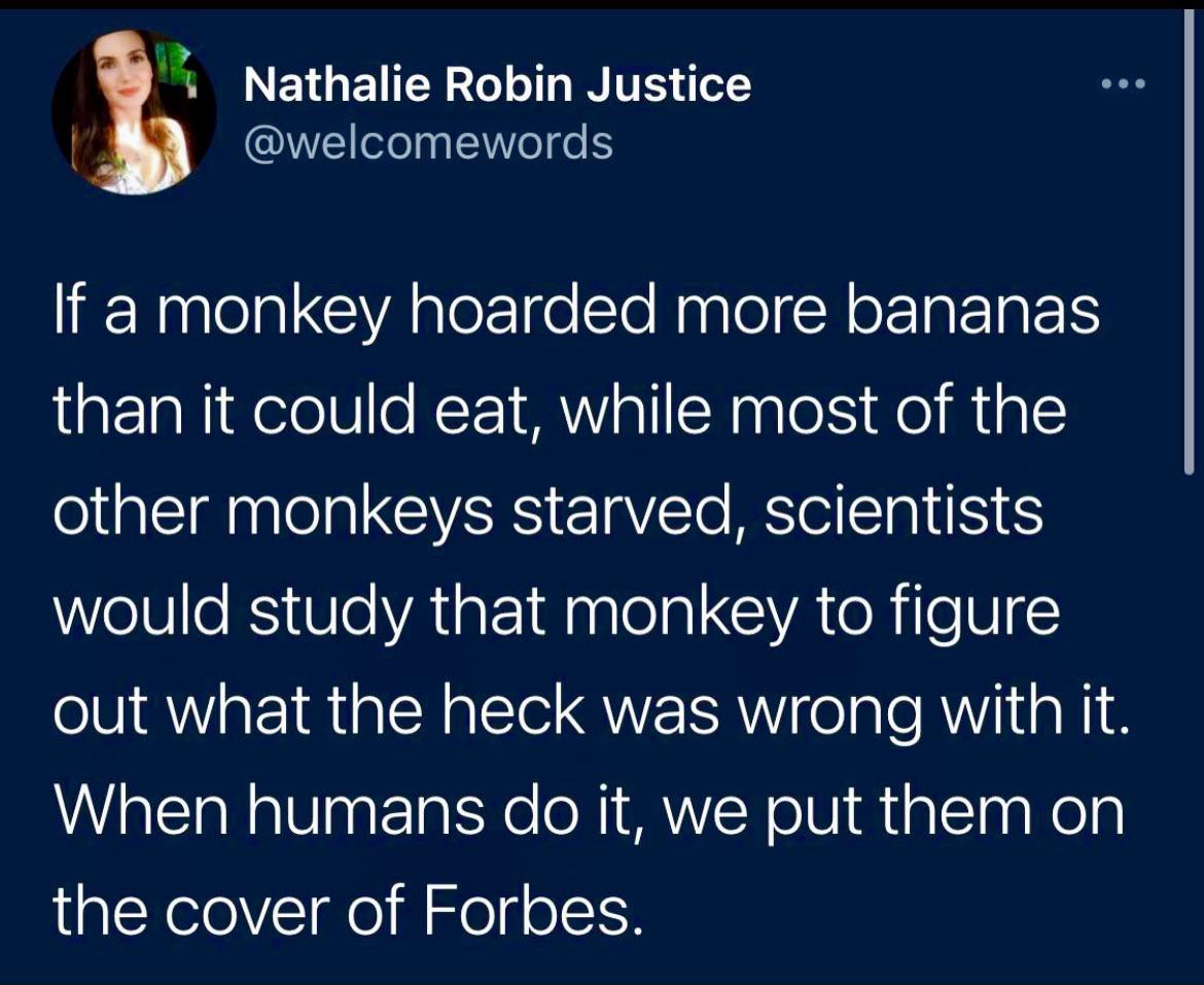 Rich monkeys