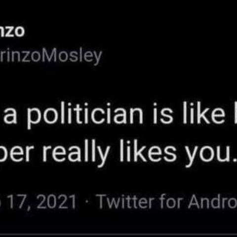 Idiolizing a politician